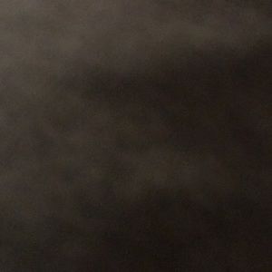 Meet your Posher, Owen